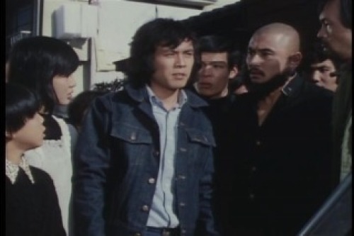 PDVD_023.jpg