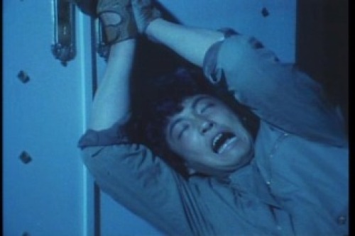 PDVD_019.jpg