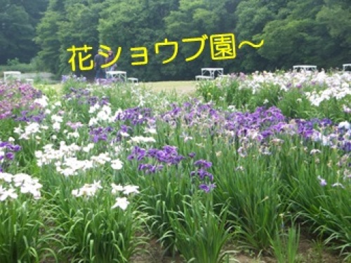 20130620_4.jpg