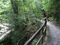 屋久島25.jpg
