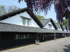 山居2.jpg