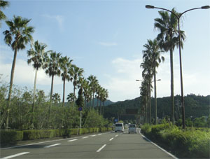 宮崎2.jpg
