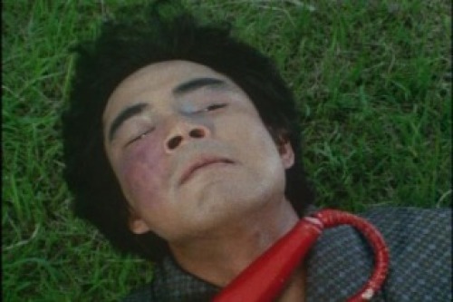 PDVD_039.jpg