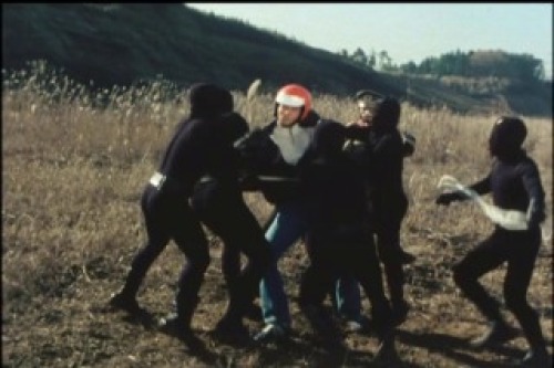 PDVD_186.jpg