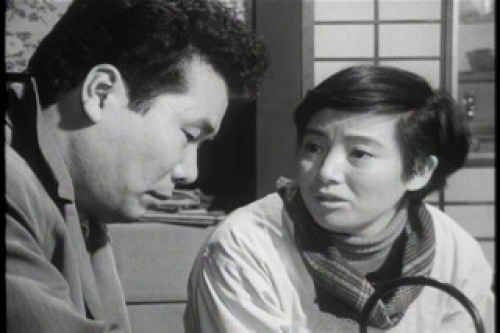 PDVD_032.jpg