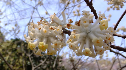 2016-03-31 067.JPG