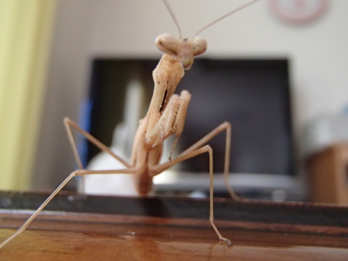 2012 09 16_3374.JPG