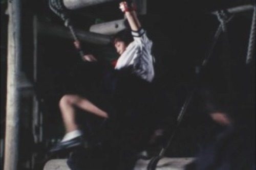 PDVD_001a.jpg