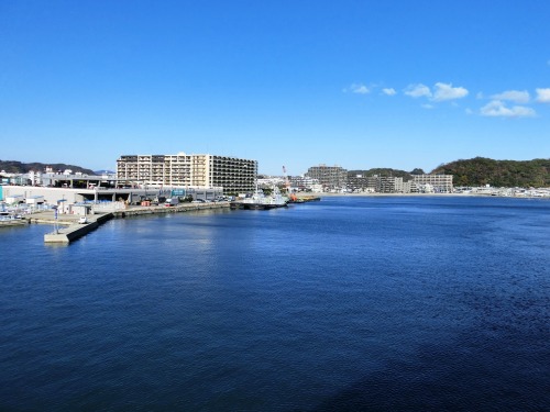 東京湾フェリー久里浜港.JPG