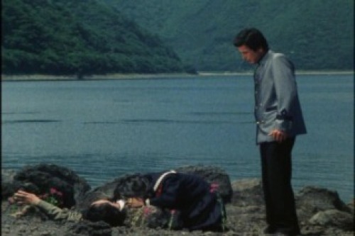 PDVD_016.jpg