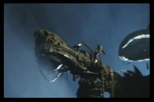 PDVD_010.jpg
