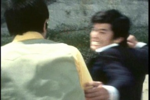 PDVD_020.jpg