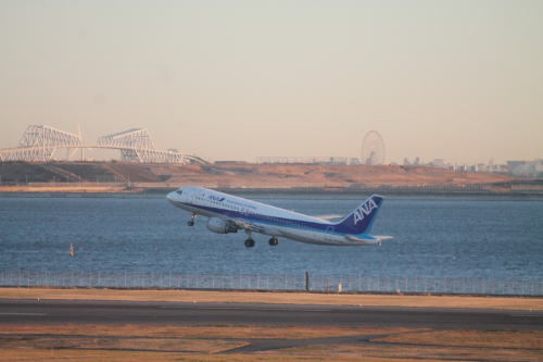 IMG_06211.jpg