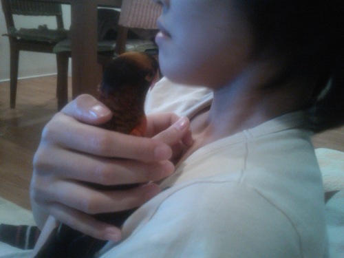 4 メイでーす♪.JPG