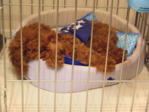DSCF8556.jpg