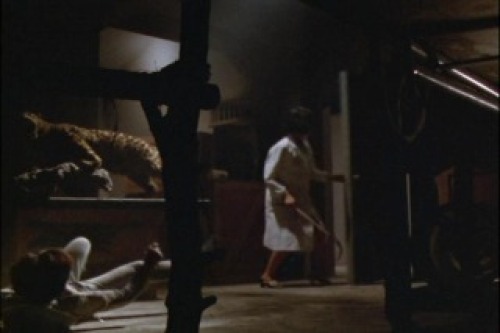 PDVD_019.jpg