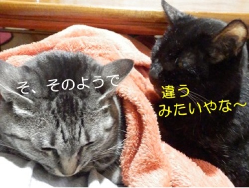 20141015_5.jpg