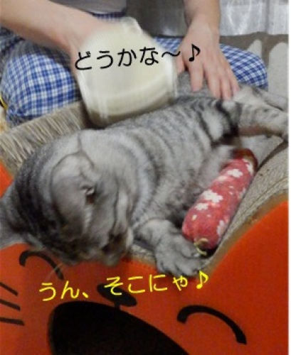 20140813_2.jpg