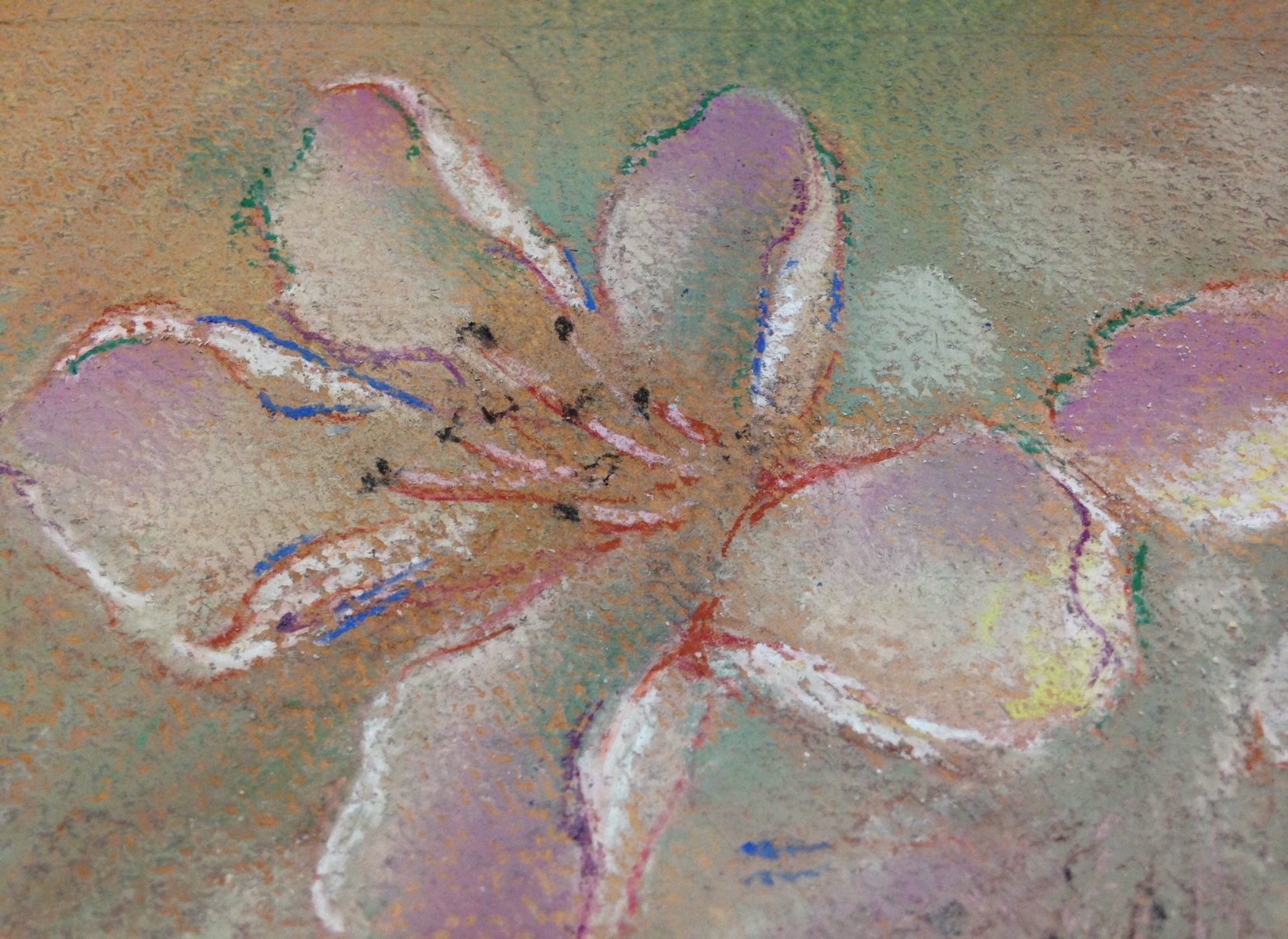 花 014」花を丁寧に描きます。パステル画の制作過程 | パステル画制作