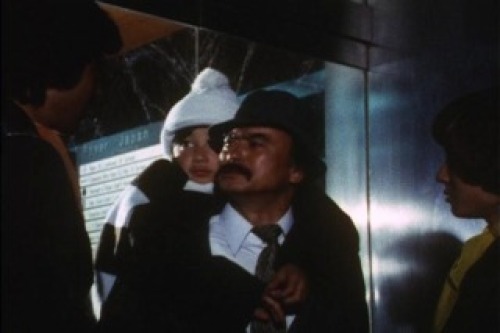 PDVD_009.jpg