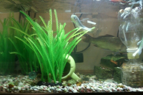 2016-05-23 18-44-18.jpg