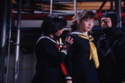 PDVD_035.jpg