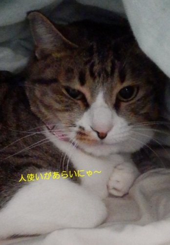 20141230_2.jpg