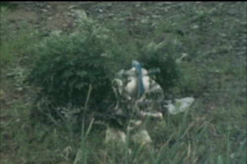 PDVD_018.jpg