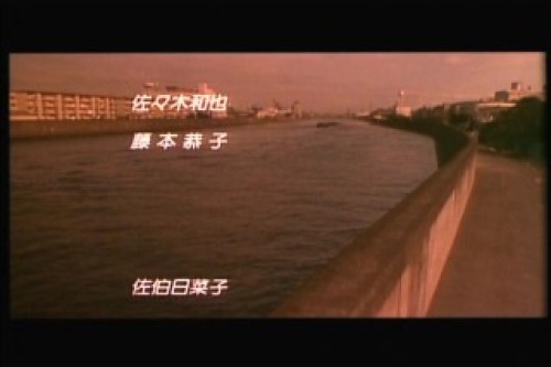 PDVD_116.jpg