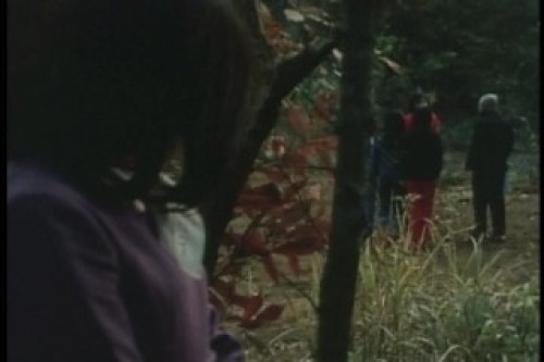PDVD_048.jpg