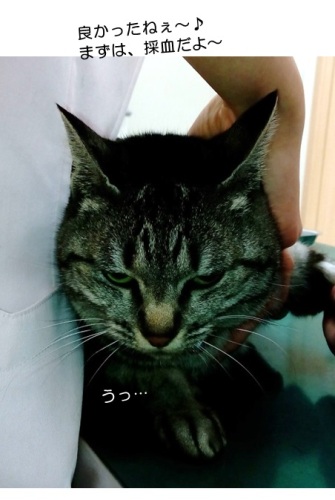 20150123_4.jpg