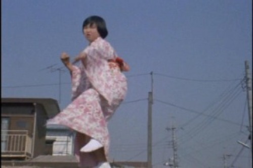 PDVD_008.jpg