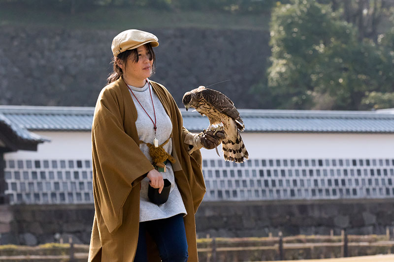 新着記事一覧 コバルトブルーに魅せられて 兼六園 探鳥記 楽天ブログ