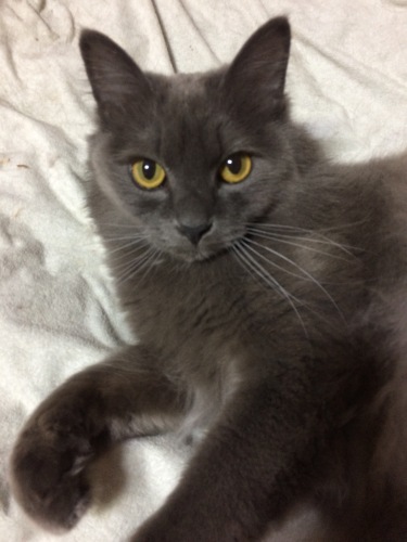 IMG_8740 - コピー.JPG