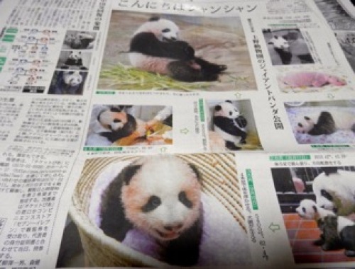 昨日の新聞2.jpg