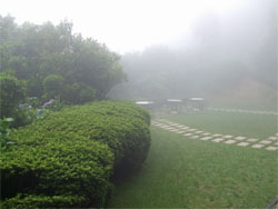 六甲山37.jpg