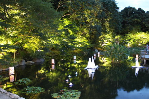 徳川園夜会3.jpg