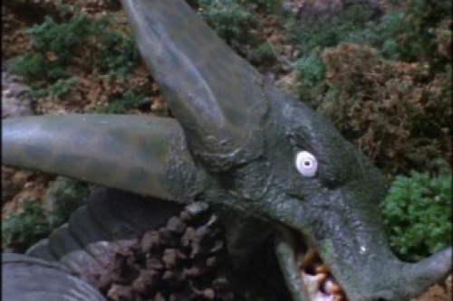 PDVD_029.jpg