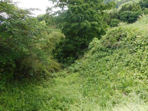 名胡桃城本丸空堀 (3).JPG