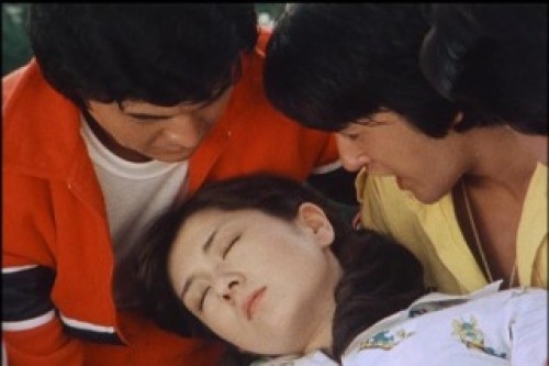 PDVD_048.jpg