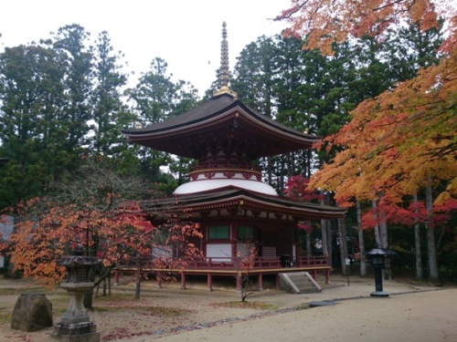 和歌山2高野山.jpg