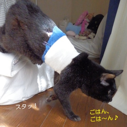 20150925_3.jpg