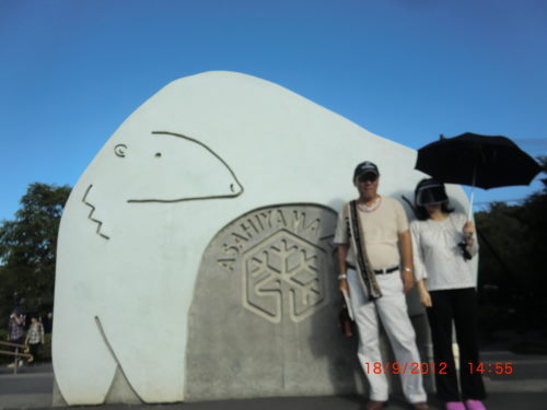 CIMG2347.JPG