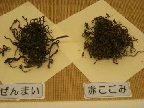 DSCN8986 (300x225).jpg