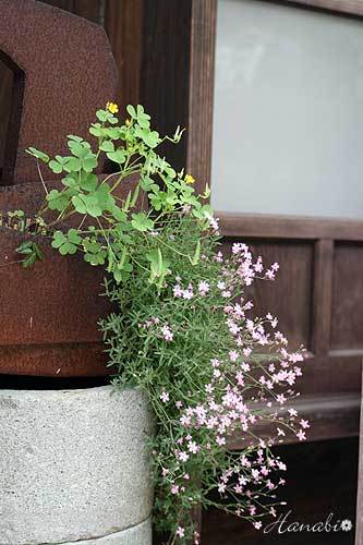 20120526銀山道中07.jpg