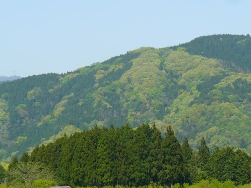 P1750176 (640x480)140502今日の湖西　山肌の新緑模様.jpg