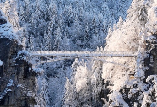 pict-冬ノイシュバンシュタイン城 12.jpg