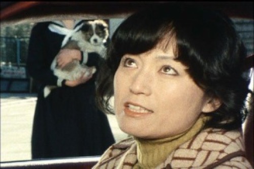 PDVD_006.jpg
