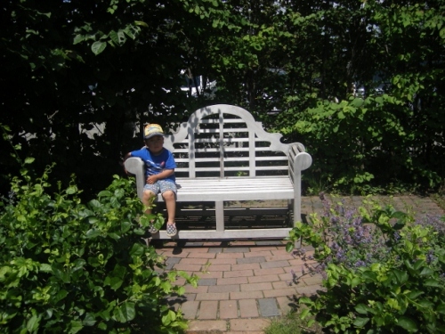 IMGP0080 (640x480).jpg