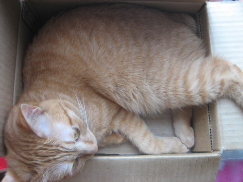 August 16, 2013(3).JPG